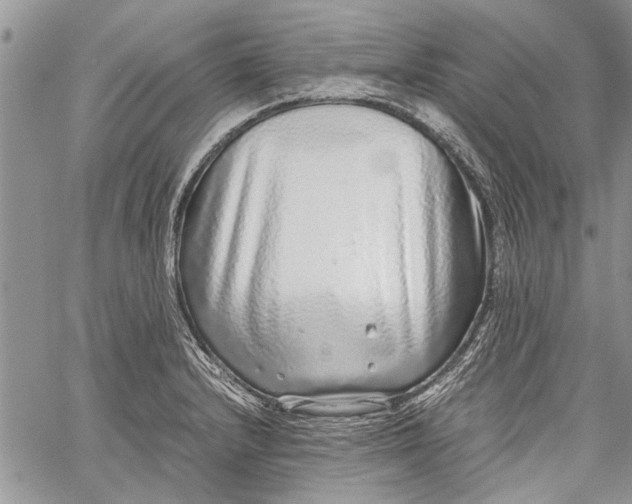 X0000062651232200601040909