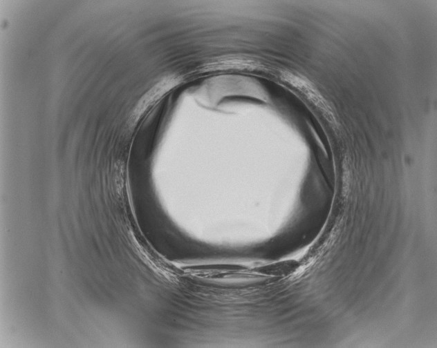 X0000062651233200601040909