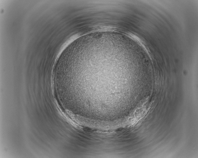 X0000062651235200601040910