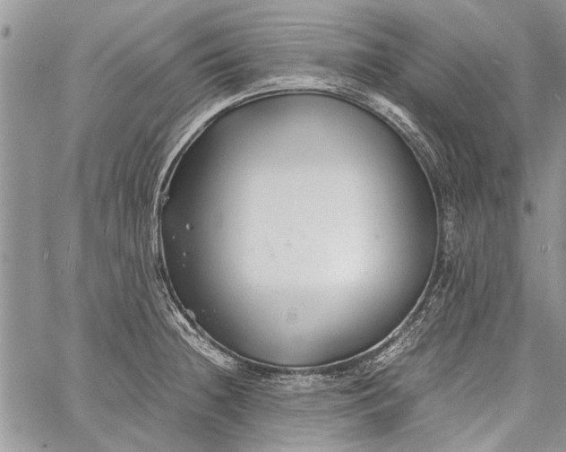 X0000062651236200601040910