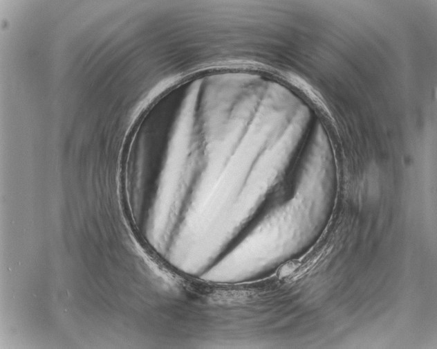 X0000062651237200601040910