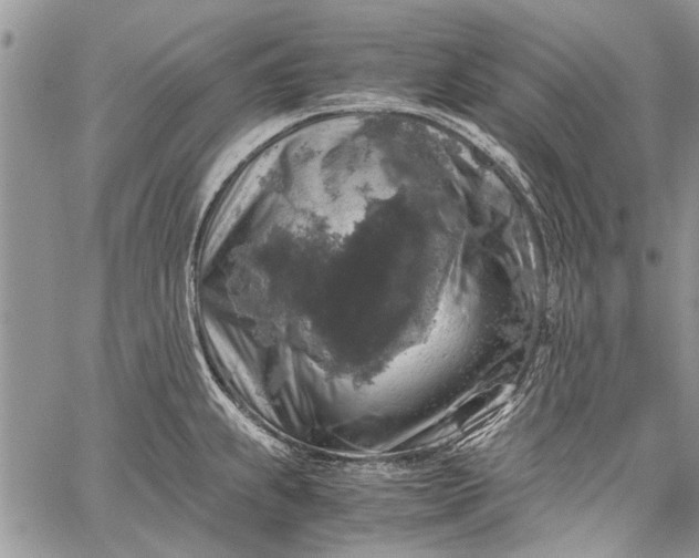 X0000062651239200601040910