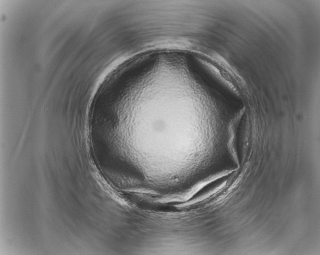 X0000062651240200601040910