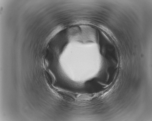 X0000062651241200601040910