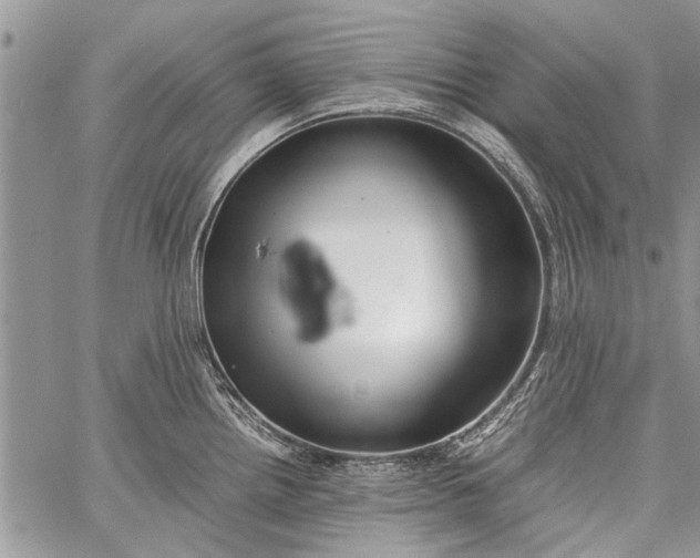 X0000062651242200601040910