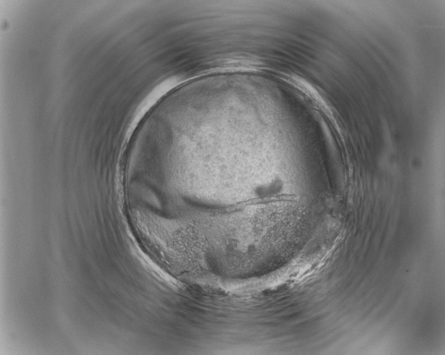 X0000062651243200601040910