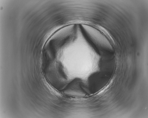 X0000062651244200601040910