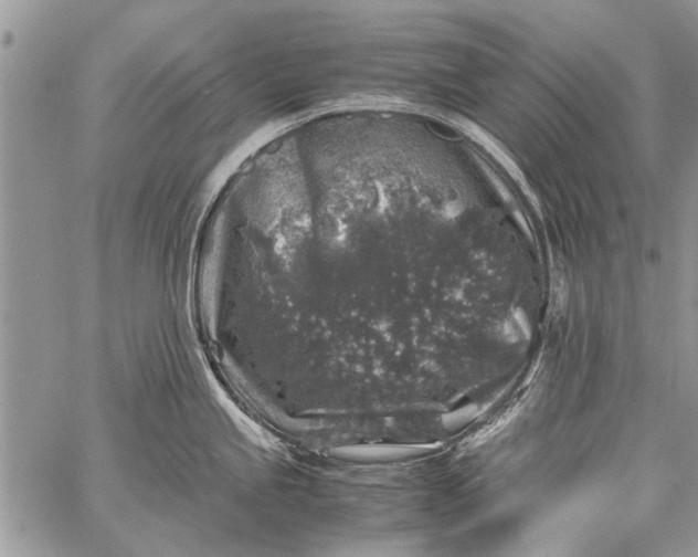 X0000062651245200601040910