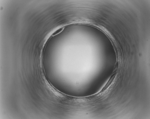 X0000062651246200601040910