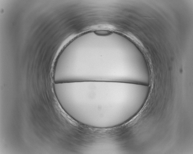 X0000062651248200601040910