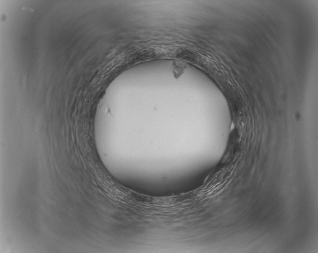 X0000062651249200601040909