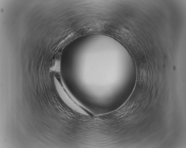 X0000062651250200601040909