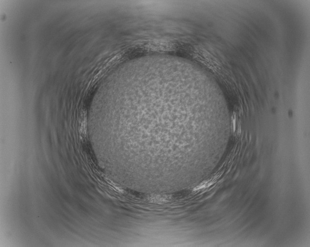 X0000062651251200601040909