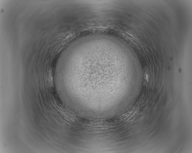 X0000062651252200601040909