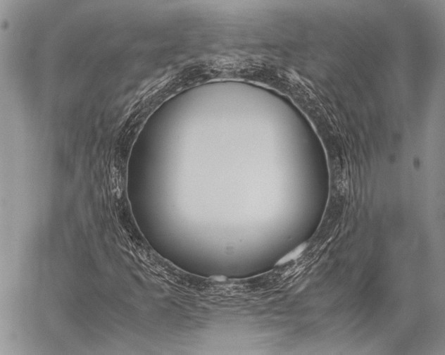 X0000062651253200601040909