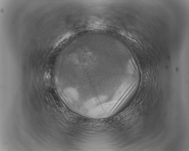 X0000062651254200601040909