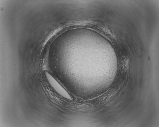 X0000062651256200601040909