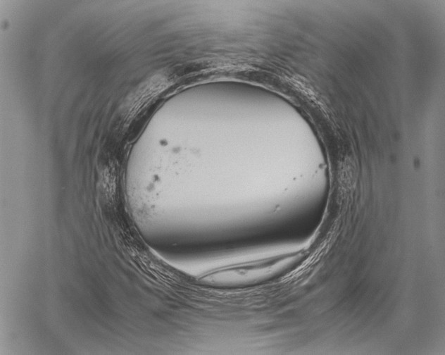 X0000062651257200601040909