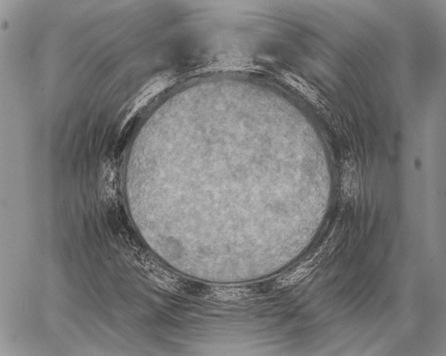 X0000062651258200601040909