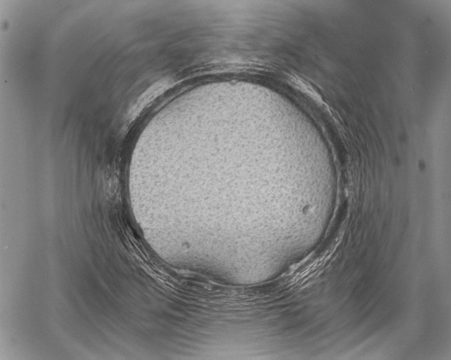 X0000062651259200601040909