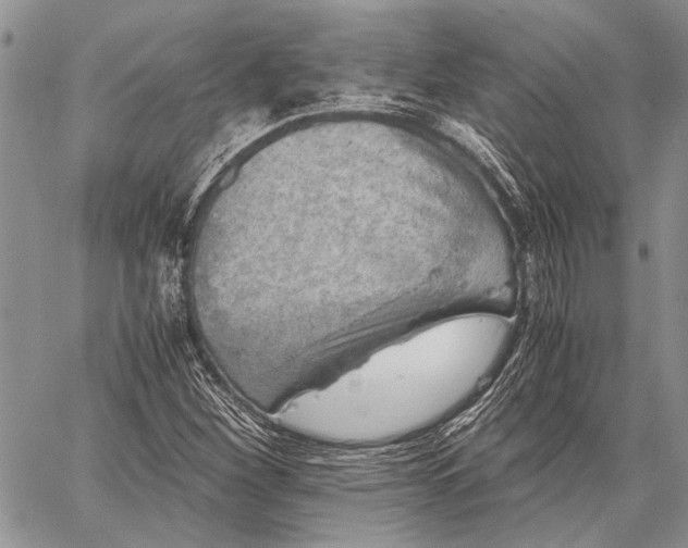 X0000062651260200601040909