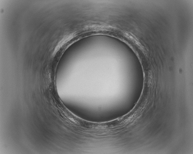 X0000062651261200601040909