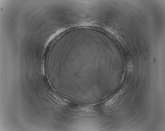 X0000062651262200601040909