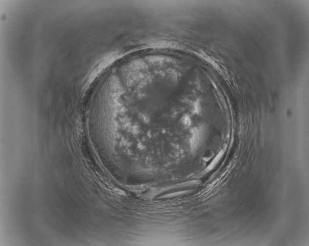 X0000062651263200601040909