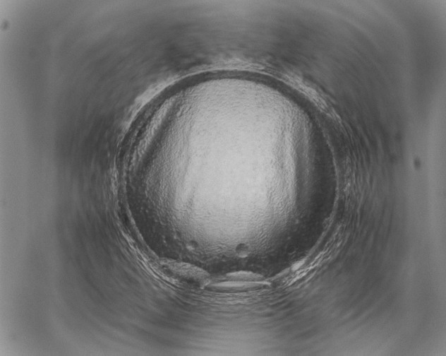 X0000062651264200601040909