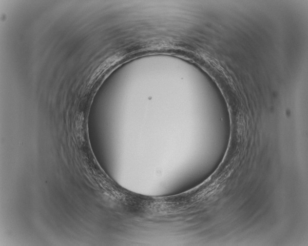 X0000062651265200601040909