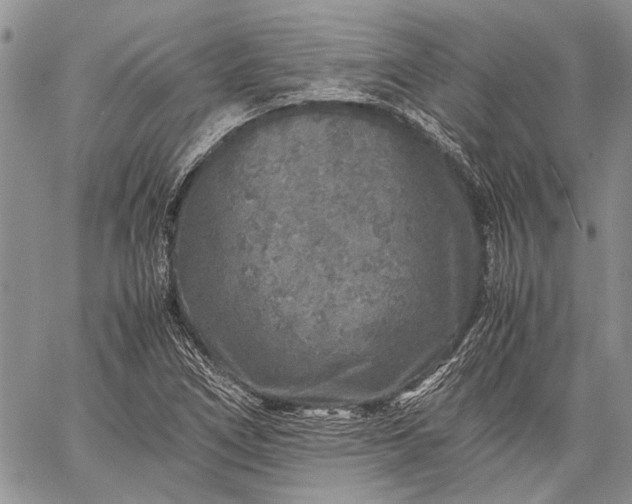 X0000062651266200601040909