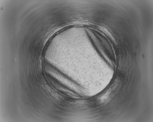 X0000062651268200601040909