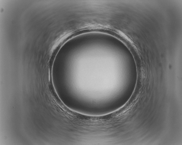 X0000062651269200601040909