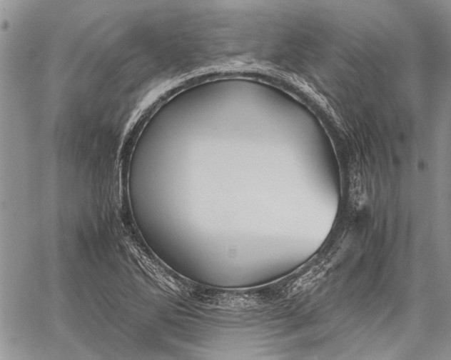 X0000062651270200601040909