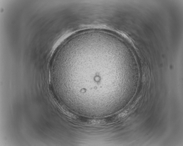 X0000062651271200601040909