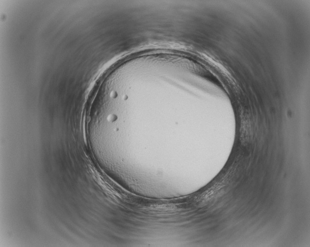 X0000062651272200601040909