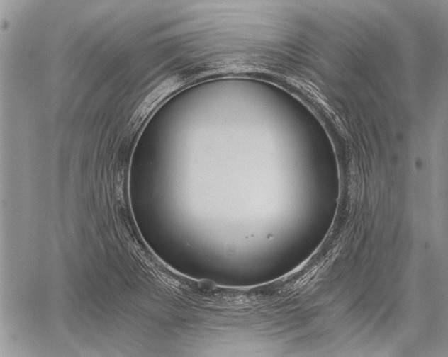 X0000062651273200601040909