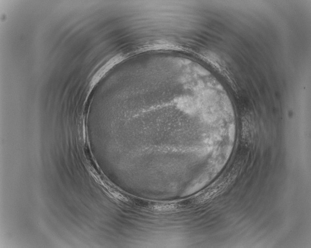 X0000062651274200601040909