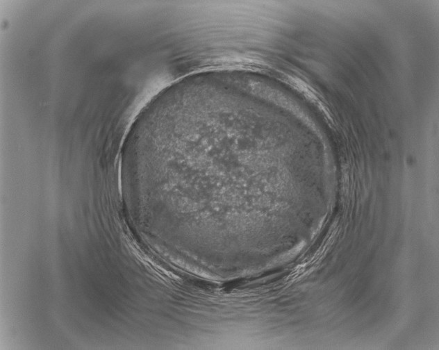 X0000062651275200601040908