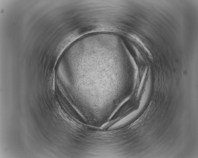 X0000062651276200601040908