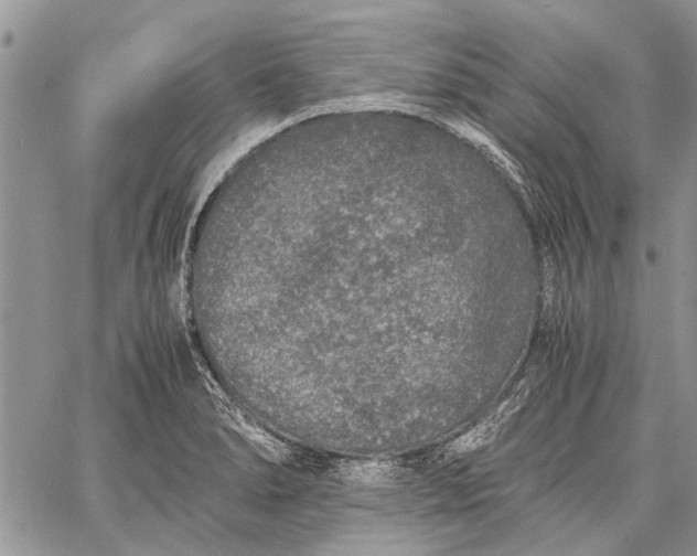 X0000062651278200601040908