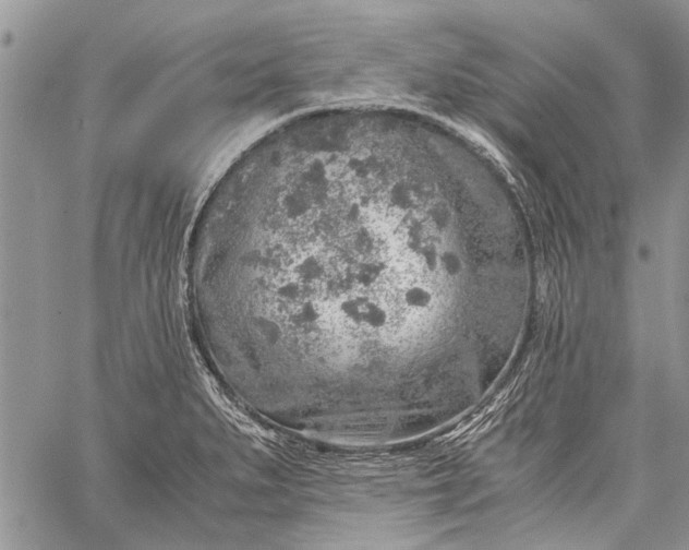 X0000062651279200601040908