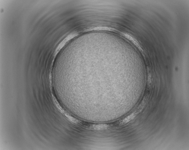 X0000062651282200601040908