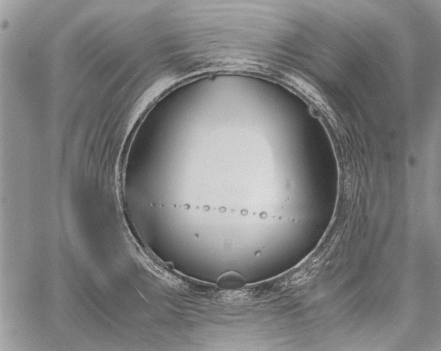 X0000062651283200601040908