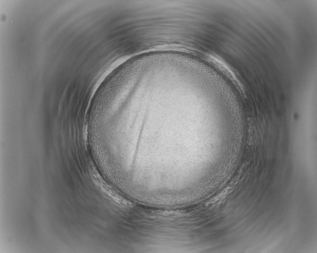 X0000062651284200601040908