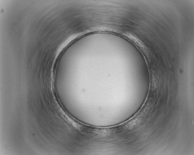 X0000062651286200601040908