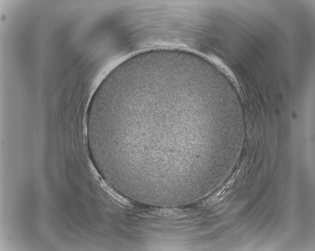 X0000062651287200601040908