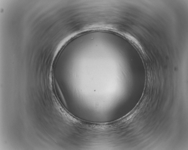 X0000062651288200601040908