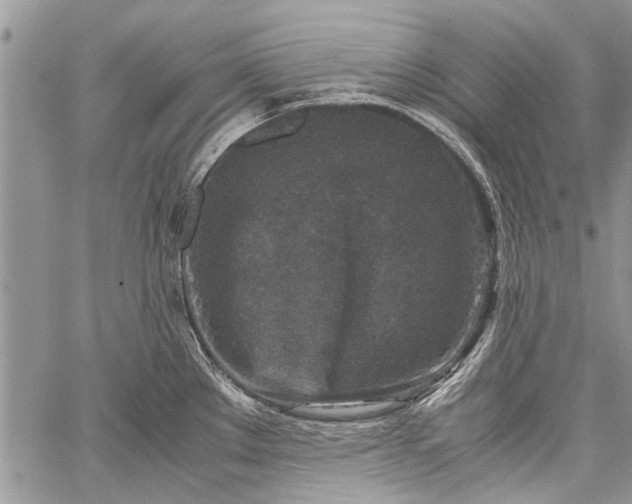 X0000062651289200601040908