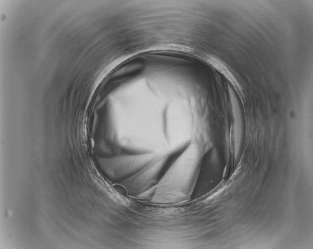 X0000062651292200601040908